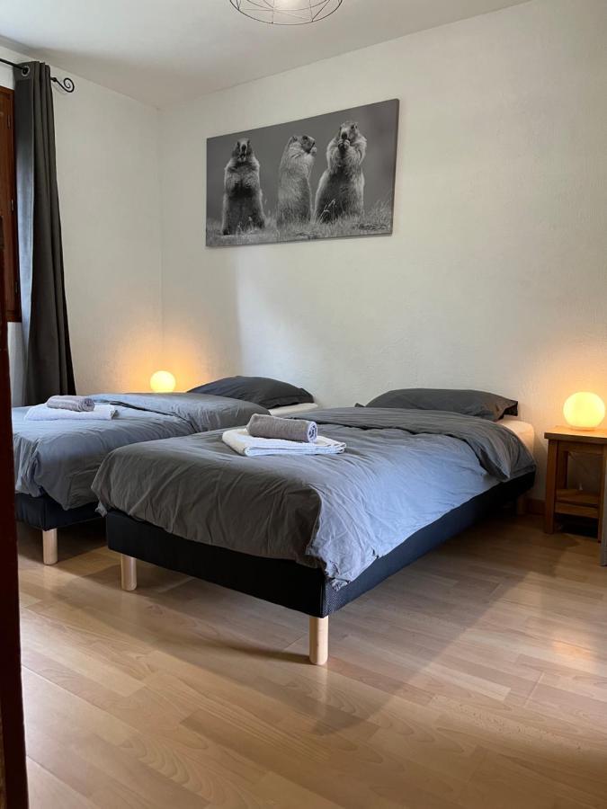 Appartement Rez De Jardin, 2 Chambres/ 4 Personnes, Garage. Бріансон Екстер'єр фото